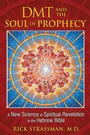 Cover: DMT and the Soul of Prophecy - Park Street Press