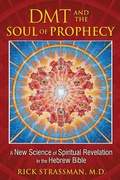 Cover: DMT and the Soul of Prophecy - Park Street Press