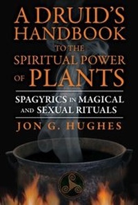 Abbildung von: A Druid's Handbook to the Spiritual Power of Plants - Destiny Books