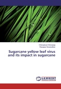 Cover: Sugarcane yellow leaf virus and its impact in sugarcane - LAP Lambert Academic Publishing