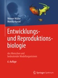 Cover: Entwicklungsbiologie und Reproduktionsbiologie des Menschen und bedeutender Modellorganismen - Springer Spektrum