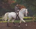 Cover: Dressage Principles Illuminated - J.A.Allen & Co Ltd
