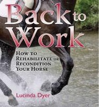 Abbildung von: Back to Work - J.A.Allen & Co Ltd