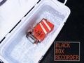 Cover: Black-box Recorder - The British Council Visual Arts Publications