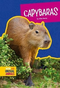 Enlarge image Cover: Capybaras - Amicus High Interest