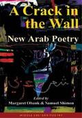 Cover: A Crack in the Wall - Saqi Books
