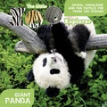 Cover: The Little Zoo Explorer - Kiko Verlag