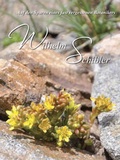 Cover: Wilhelm Schibler - Auf den Spuren eines fast vergessenen Botanikers - Kessel, Norbert