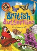 Cover: Nature Detective: British Butterflies - Wayland