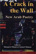 Cover: A Crack in the Wall - Saqi Books