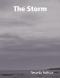 Cover: The Storm - Lulu.com