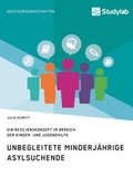 Cover: Unbegleitete minderj&auml;hrige Asylsuchende. Ein Resilienzkonzept im Bereich der Kinder- und Jugendhilfe - Studylab