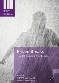 Abbildung von: Prison Breaks - Palgrave Macmillan