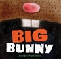 Cover: Big Bunny - Chronicle Books