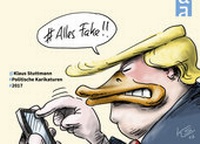 Enlarge image Cover: Alles Fake! - Schaltzeit Verlag