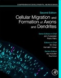 Cover: Cellular Migration and Formation of Axons and Dendrites - Academic Press