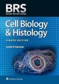 Abbildung von: BRS Cell Biology and Histology - Lippincott Williams and Wilkins