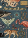 Cover: Animalium - Templar Publishing