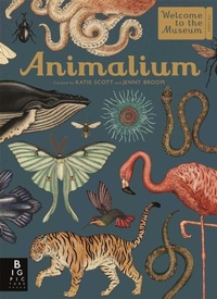 Abbildung von: Animalium - Templar Publishing