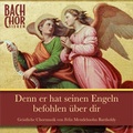 Cover: CD Denn er hat seinen Engeln befohlen &uuml;ber dir - Gerth Medien