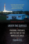 Cover: Under the Surface - Cornell University Press