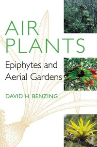 Abbildung von: Air Plants - Comstock Publishing Associates