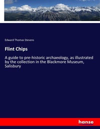Enlarge image Cover: Flint Chips - Hansebooks