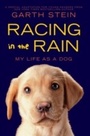 Cover: Racing in the Rain - HarperCollins