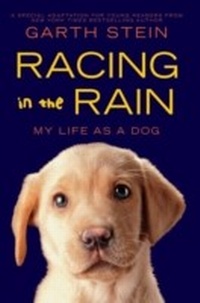 Enlarge image Cover: Racing in the Rain - HarperCollins