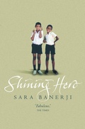 Cover: Shining Hero - Flamingo