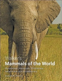 Abbildung von: Walker's Mammals of the World - Johns Hopkins University Press
