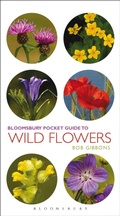 Cover: Pocket Guide To Wild Flowers - Bloomsbury Natural History
