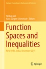 Cover: Function Spaces and Inequalities - Springer