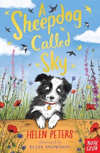 Enlarge image Cover: A Sheepdog Called Sky - Nosy Crow Ltd