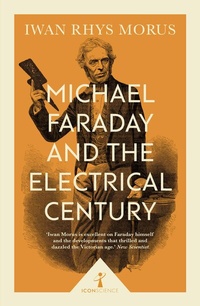 Abbildung von: Michael Faraday and the Electrical Century (Icon Science) - Icon Books