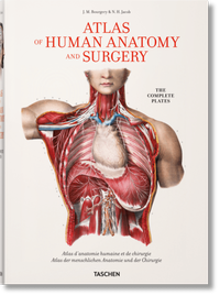 Abbildung von: Bourgery. Atlas of Human Anatomy and Surgery - TASCHEN