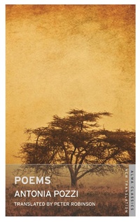 Enlarge image Cover: Poems - Alma Classics