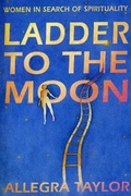 Cover: Ladder To The Moon - Vermilion