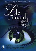 Cover: Cyfres Dymuniadau Da: Lle i Enaid Gael Llonydd - Gwasg Carreg Gwalch