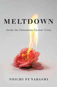 Enlarge image Cover: Meltdown - Brookings Institution