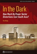 Cover: In the Dark - World Bank Publications