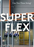 Cover: SUPERFLEX - Tate Publishing