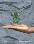 Cover: Otobong Nkanga - Luster and Lucre - Sternberg Press