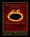 Cover: Blood and Fire - BookRix