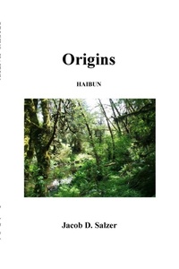 Abbildung von: Origins - Lulu.com