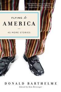 Enlarge image Cover: Flying to America - Counterpoint LLC