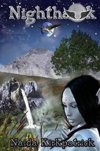 Enlarge image Cover: Nighthawk - Solstice Publishing