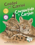 Cover: Cuddled and Carried / Consentido Y Cargado - Platypus Media