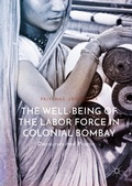 Cover: The Well-Being of the Labor Force in Colonial Bombay - Palgrave Macmillan