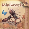 Cover: Flip the Flaps: Minibeasts - Kingfisher Books Ltd